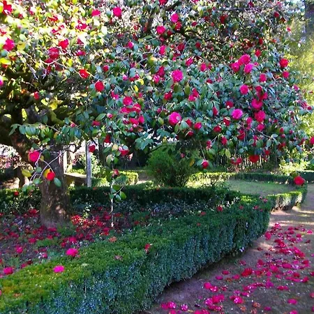 Lamparinas Pensjonat