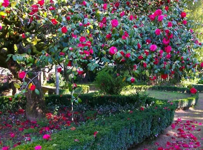 Quarto Das Lamparinas Gasthof